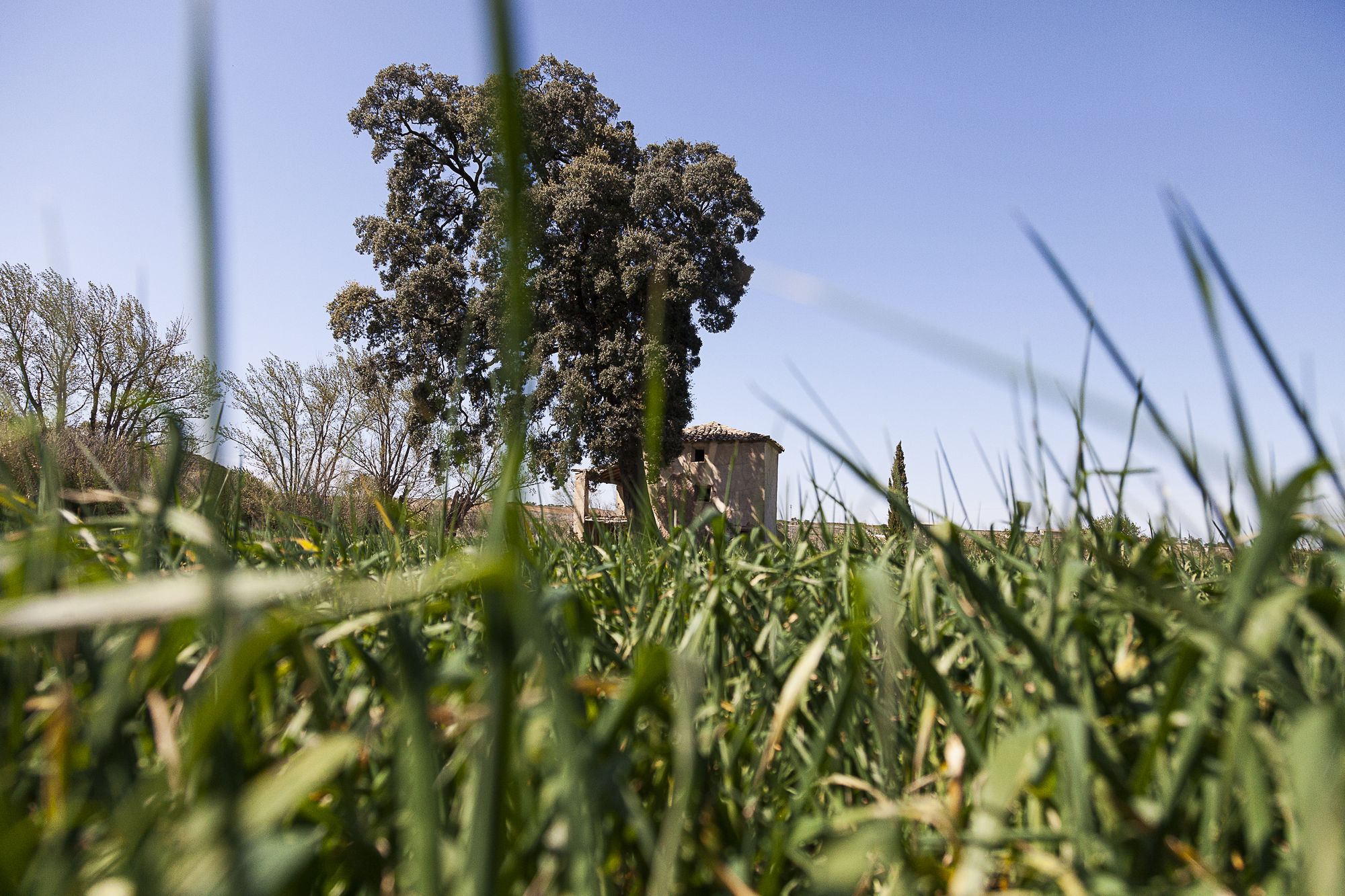 Almonacid de la cuba